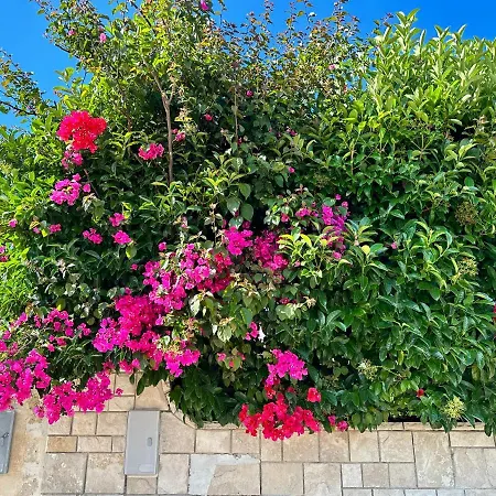 Vila Azzurra Torre Chianca